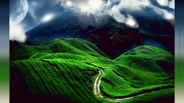 Картинка календари компьютерный+дизайн растения планета дорога