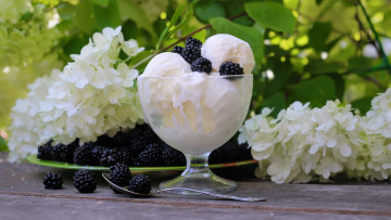 Картинка еда мороженое +десерты