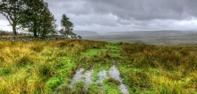 Обои картинки фото природа, пейзажи, простор