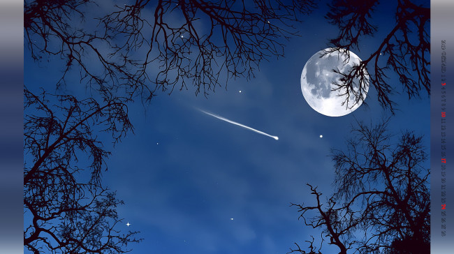 Обои картинки фото календари, компьютерный дизайн, дерево, ночь, планета