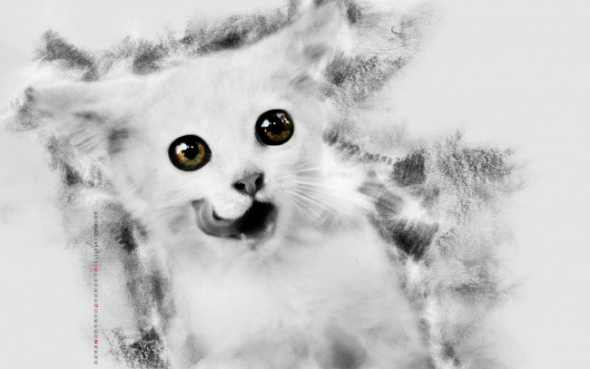 Обои картинки фото календари, компьютерный дизайн, животное, кошка