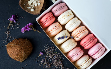 Картинка еда макаруны печенье лакомство