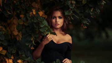 Картинка nicole+young девушки девушка брюнетка сексуальная милая модель красивая супер сладкая лапочка симпатичная классная нежная идеальная няша яркая игривая великолепная обаятельная жгучая спокойная удивительная nicole+ross ника+колосова valeri+christik