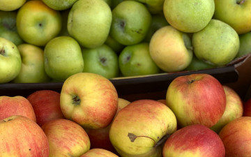 Картинка еда яблоки урожай много