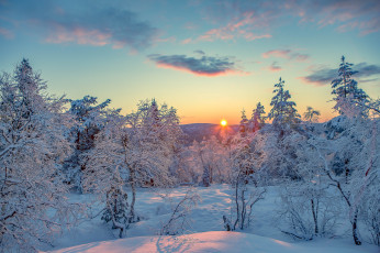 Картинка природа восходы закаты зима снег