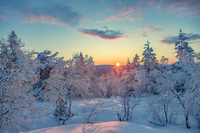 Обои картинки фото природа, восходы, закаты, зима, снег
