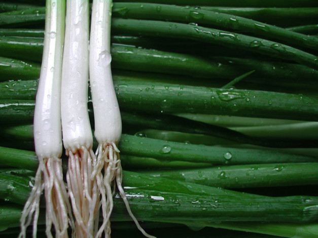 Обои картинки фото еда, лук