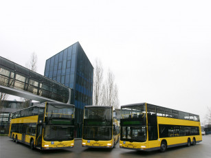 Картинка автомобили автобусы