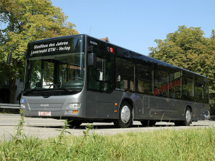 Картинка автомобили автобусы