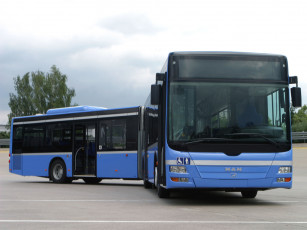 Картинка автомобили автобусы