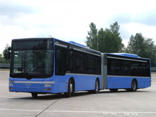 Картинка автомобили автобусы