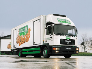 Картинка автомобили man