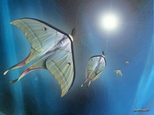 Картинка фэнтези существа