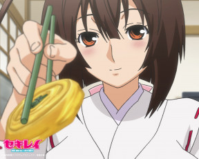 Картинка аниме sekirei