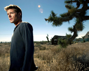 Картинка мужчины jensen ackles