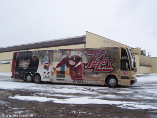 Картинка автомобили автобусы