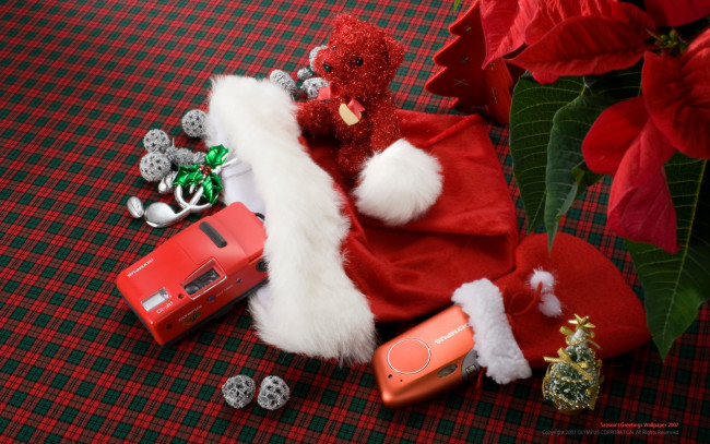 Обои картинки фото бренды, olympus