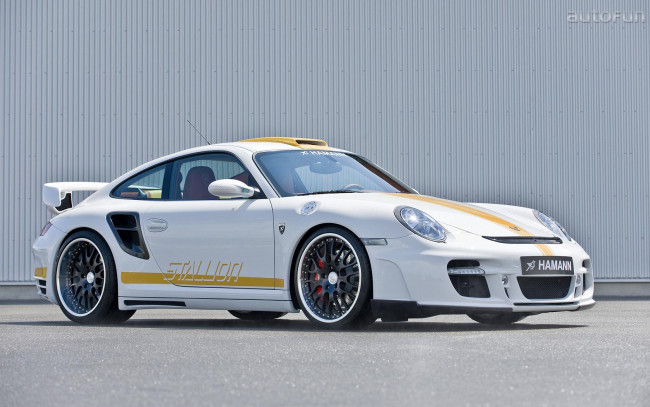 Обои картинки фото hamann, stallion, автомобили, porsche