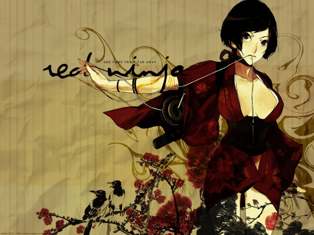 Обои картинки фото аниме, red, ninja