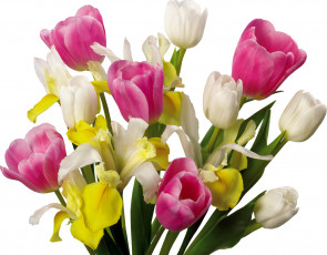 Картинка цветы букеты композиции розовый белый желтый