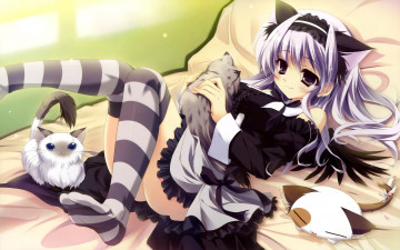 Картинка amaha miu аниме mashiro iro symphony mashiroiro