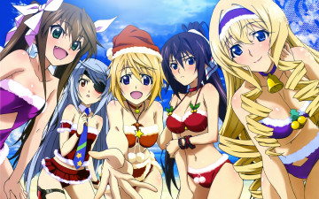 Картинка аниме infinite stratos девушки