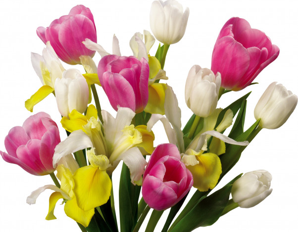 Обои картинки фото цветы, букеты, композиции, розовый, белый, желтый