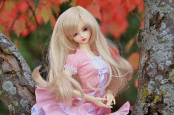 Картинка разное игрушки кукла