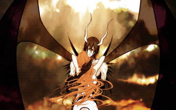 Картинка аниме bleach блич улькиорра орихиме обьятия крылья арт аранкар волосы парень девушка закат облака