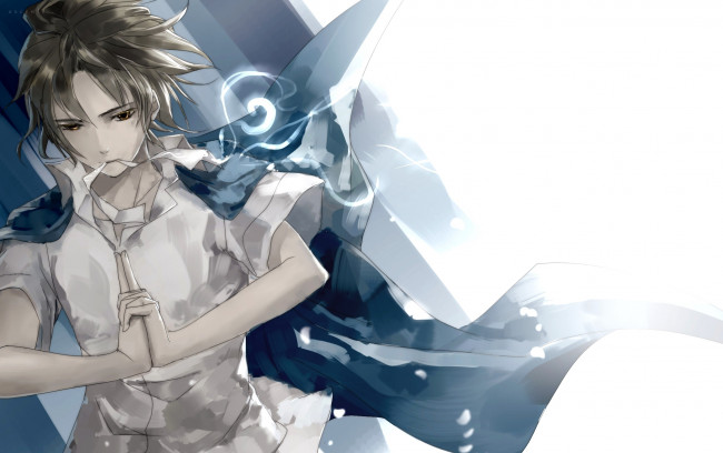 Обои картинки фото аниме, natsume yuujinchou, парень, печать, ветер, natsume, takashi