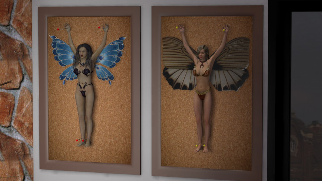 Обои картинки фото 3д графика, эльфы , elves, феи, взгляд, фон