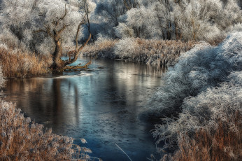 Картинка природа реки озера лес река