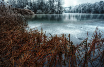 Картинка природа реки озера лес река