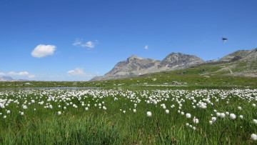 Картинка природа горы облака луг