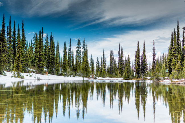 Обои картинки фото природа, реки, озера, лес, река