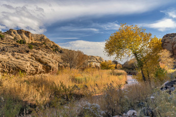 Картинка природа пейзажи простор