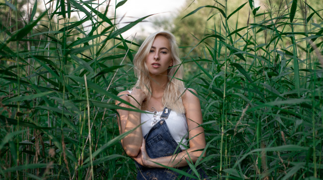 Обои картинки фото девушка, девушки, -unsort , блондинки,  светловолосые, модель