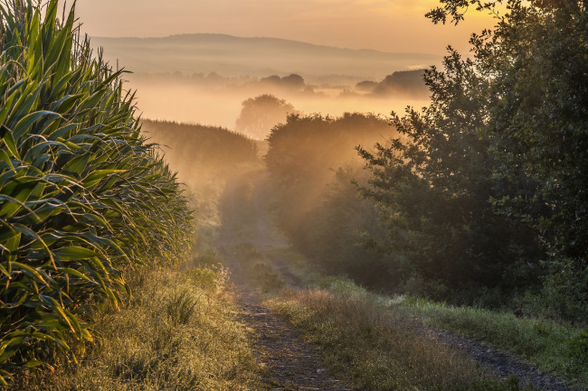 Обои картинки фото природа, восходы, закаты, простор