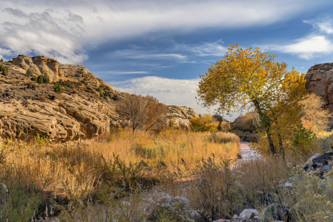 Обои картинки фото природа, пейзажи, простор