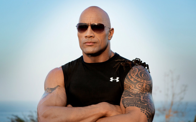 Обои картинки фото мужчины, dwayne johnson , the rock, очки, тату, пауки