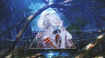 Картинка аниме +gray-man ди грей-мен