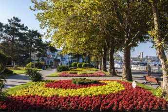 Картинка города -+улицы +площади +набережные геленджик россия парк бегония красoта