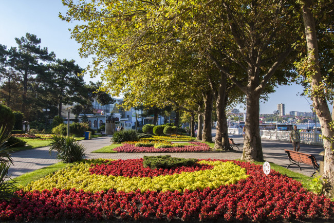 Обои картинки фото города, - улицы,  площади,  набережные, геленджик, россия, парк, бегония, красoта