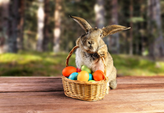 обоя праздничные, пасха, кролик, корзина, яйца, лес