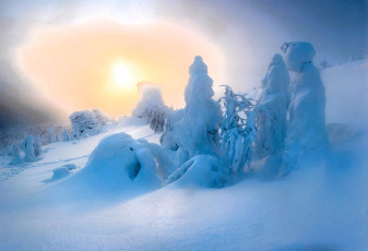 обоя природа, зима, снег, деревья, склон