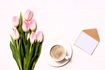 обоя праздничные, международный женский день - 8 марта, тюльпаны, букет, кофе, чашка, блюдце, конверт