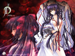 Картинка аниме moonlight lady