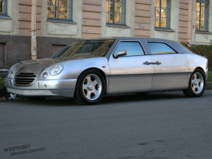 Картинка автомобили werwolf