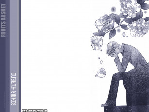 Картинка аниме fruits basket