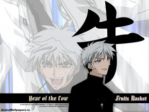 Картинка аниме fruits basket